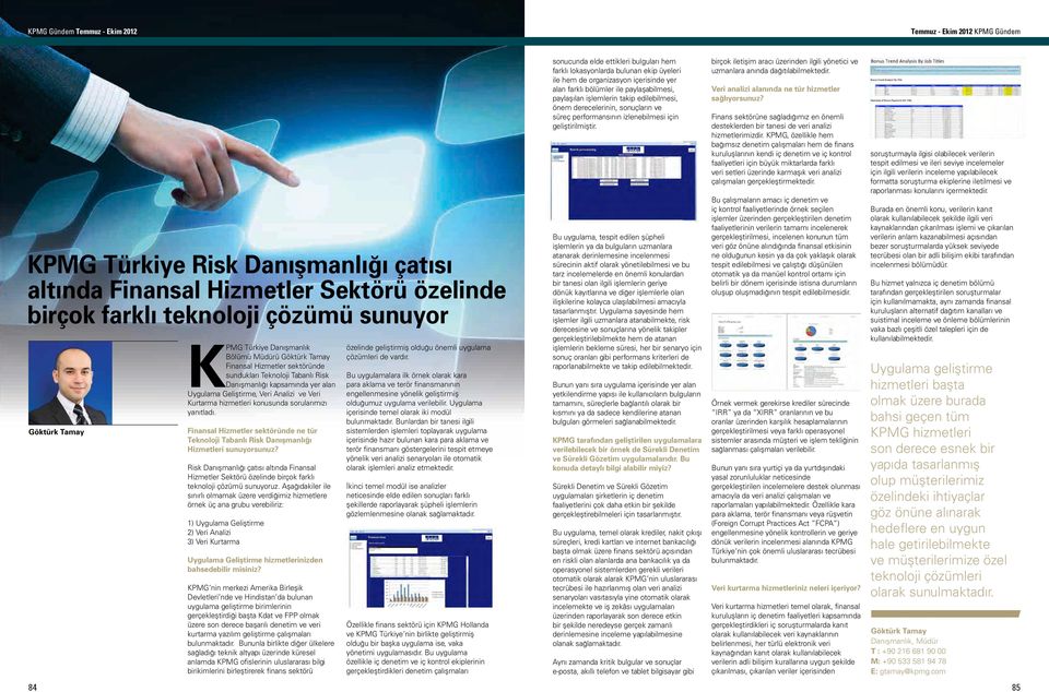 Finansal Hizmetler sektöründe ne tür Teknoloji Tabanlı Risk Danışmanlığı Hizmetleri sunuyorsunuz?