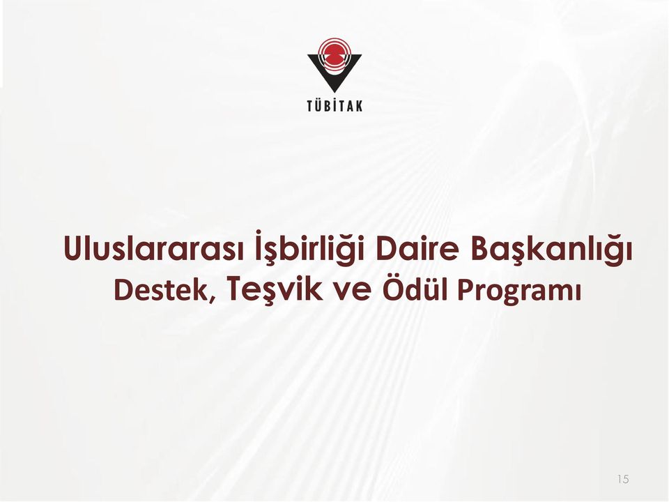 Başkanlığı Destek,