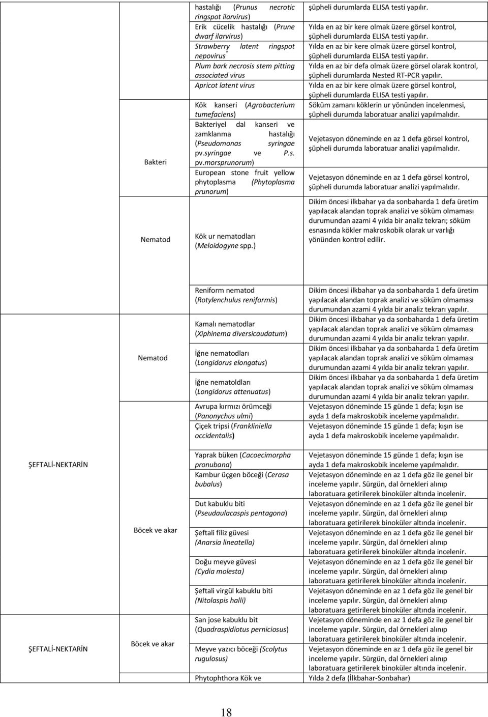 syringae ve P.s. pv.morsprunorum) European stone fruit yellow phytoplasma (Phytoplasma prunorum), şüpheli durumlarda Nested RT-PCR yapılır.