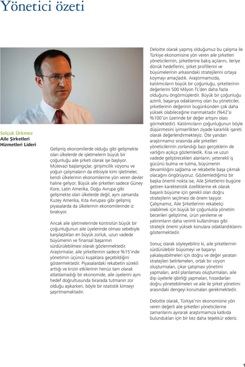 Büyük aile şirketleri sadece Güney Kore, Latin Amerika, Doğu Avrupa gibi gelişmekte olan ülkelerde değil, aynı zamanda Kuzey Amerika, Kıta Avrupası gibi gelişmiş piyasalarda da ülkelerinin