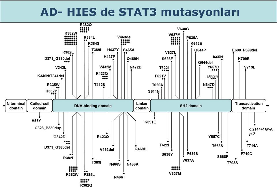 Q644P N647D E652K Y657C I665N E690_P699del K709E V713L S636F P639A Q644del F384L R382L R382W R382Q T389I N466S N466T Q469H T622I S636Y V637M P639S
