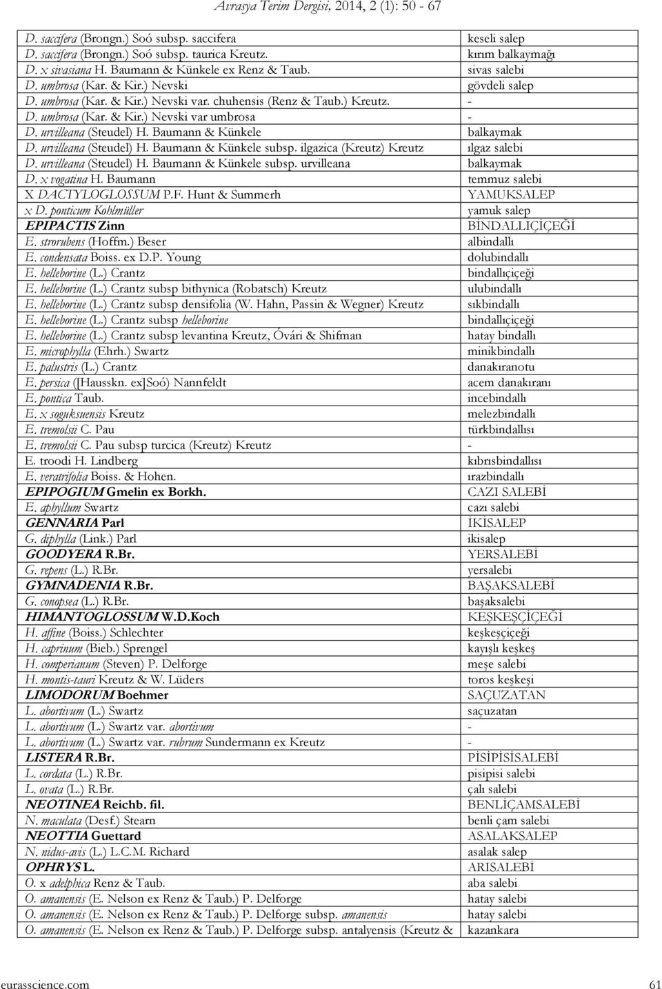 Baumann & Künkele balkaymak D. urvilleana (Steudel) H. Baumann & Künkele subsp. ilgazica (Kreutz) Kreutz ılgaz salebi D. urvilleana (Steudel) H. Baumann & Künkele subsp. urvilleana balkaymak D.