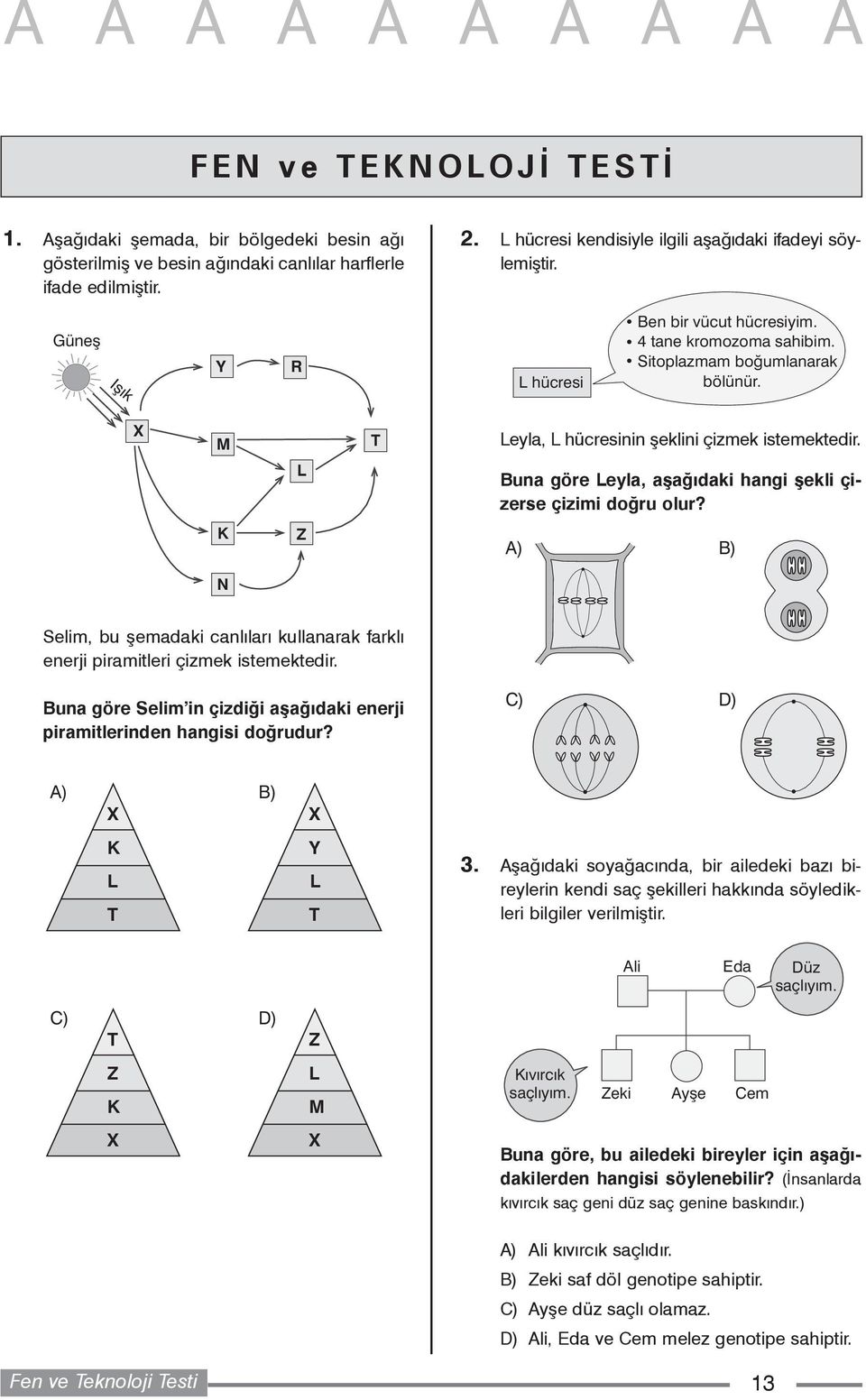 L Buna göre Leyla, aþaðýdaki hangi þekli çizerse çizimi doðru olur? K Z A) B) N Selim, bu þemadaki canlýlarý kullanarak farklý enerji piramitleri çizmek istemektedir.