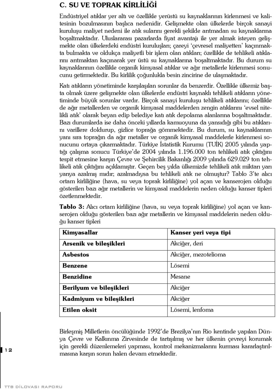 Uluslararası pazarlarda fiyat avantajı ile yer almak isteyen gelişmekte olan ülkelerdeki endüstri kuruluşları; çareyi çevresel maliyetten kaçınmakta bulmakta ve oldukça maliyetli bir işlem olan