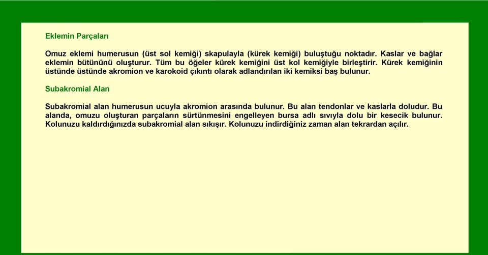 Kürek kemiğinin üstünde üstünde akromion ve karokoid çıkıntı olarak adlandırılan iki kemiksi baş bulunur.