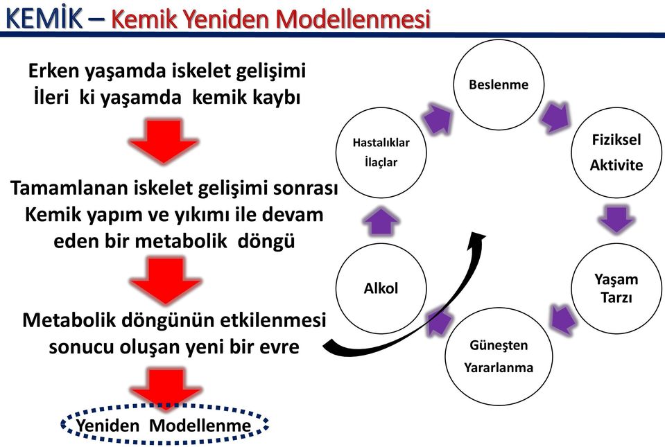 yıkımı ile devam eden bir metabolik döngü İlaçlar Aktivite Metabolik döngünün