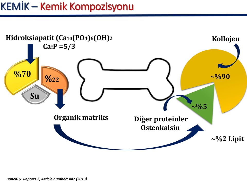 Organik matriks Diğer proteinler Osteokalsin