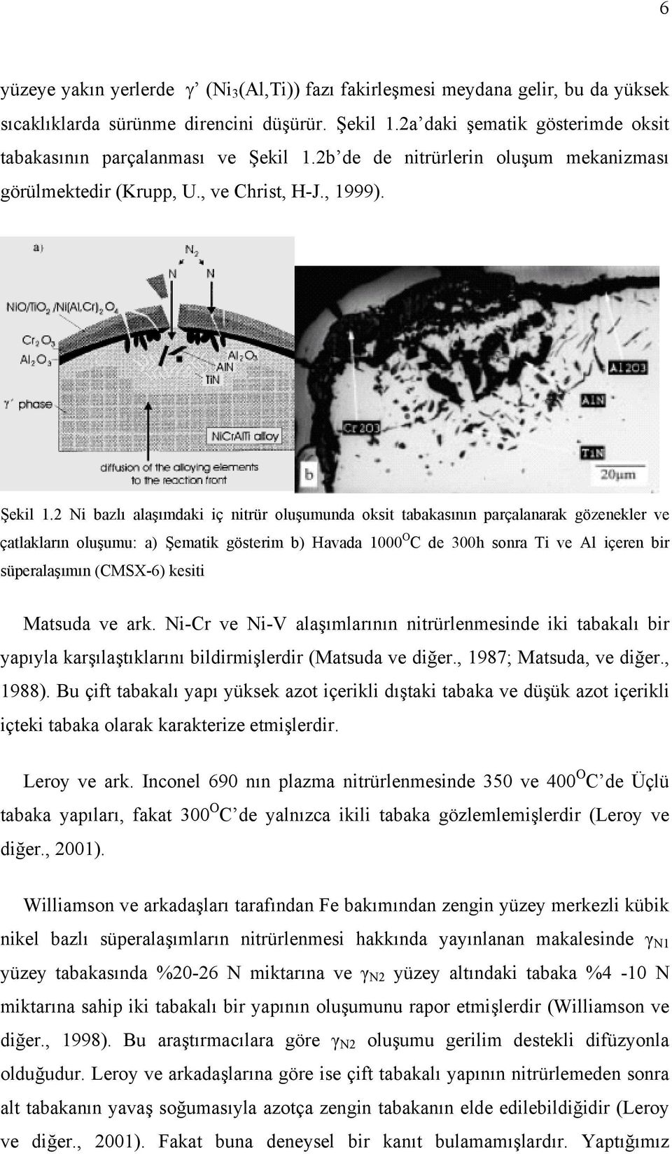 2b de de nitrürlerin oluşum mekanizması görülmektedir (Krupp, U., ve Christ, H-J., 1999). Şekil 1.