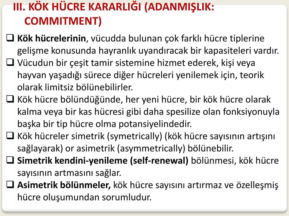 Kök hücre bölündüğünde, her yeni hücre, bir kök hücre olarak kalma veya bir kas hücresi gibi daha spesilize olan fonksiyonuyla başka bir tip hücre olma potansiyelindedir.