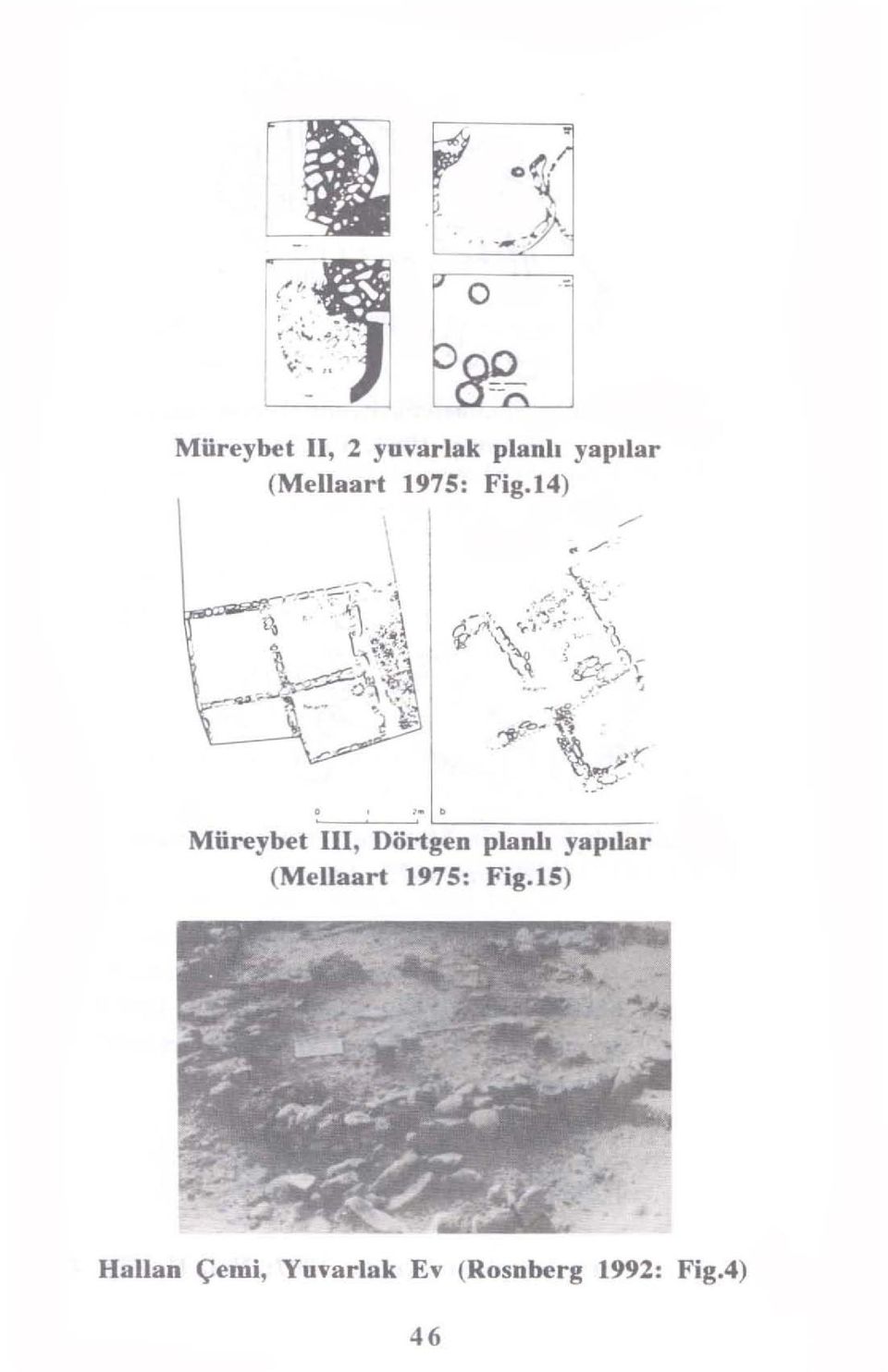 1975: Fig.14) yapılar :-~~,.