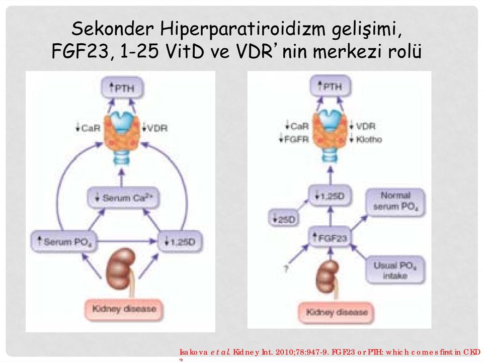 rolü Isakova et al. Kidney Int.