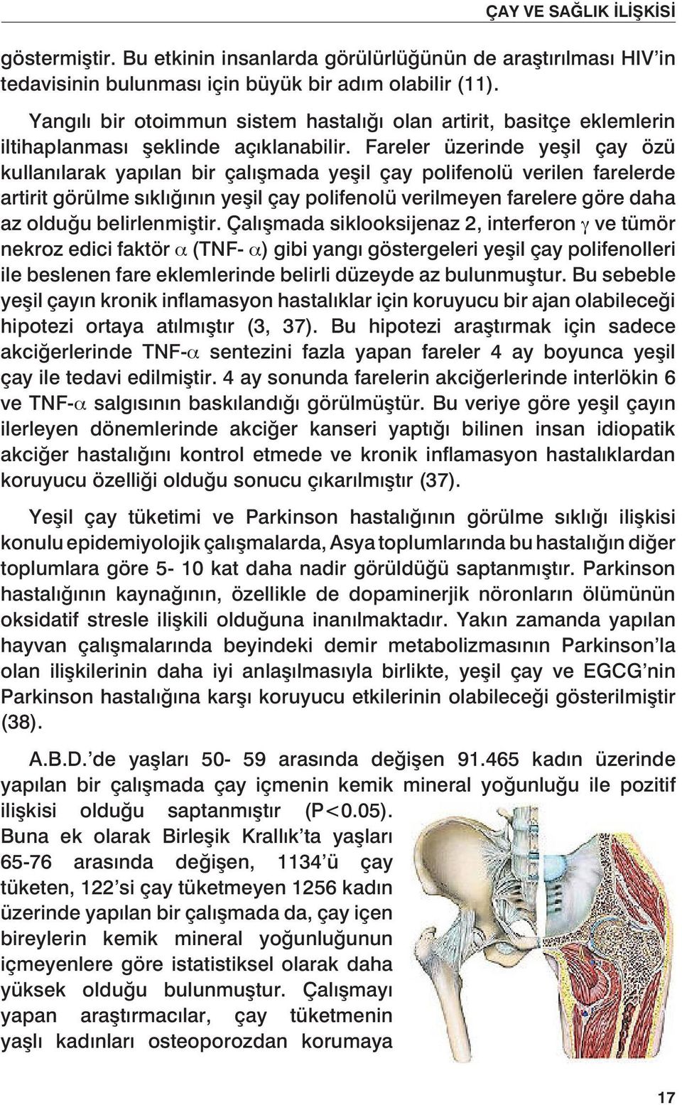 Fareler üzerinde yeşil çay özü kullanılarak yapılan bir çalışmada yeşil çay polifenolü verilen farelerde artirit görülme sıklığının yeşil çay polifenolü verilmeyen farelere göre daha az olduğu