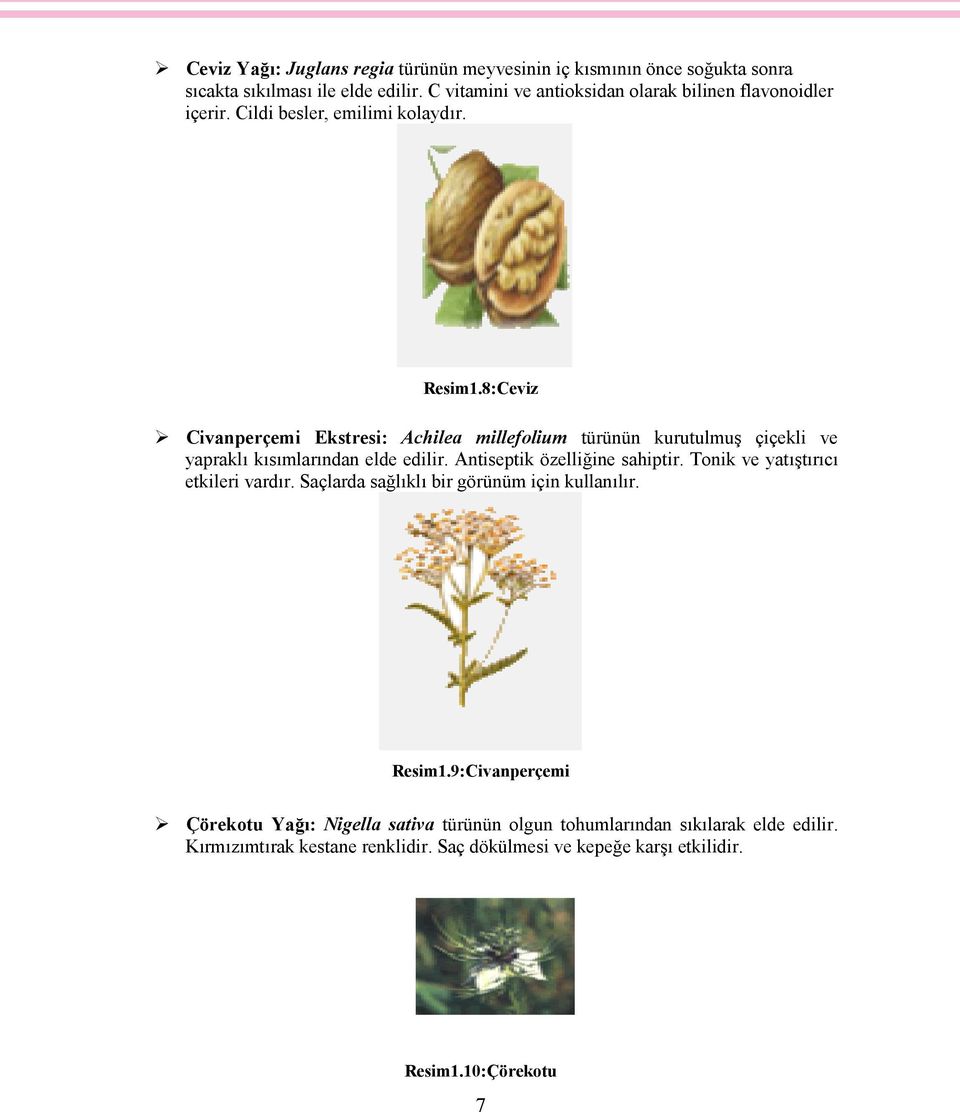 8:Ceviz Civanperçemi Ekstresi: Achilea millefolium türünün kurutulmuş çiçekli ve yapraklı kısımlarından elde edilir. Antiseptik özelliğine sahiptir.