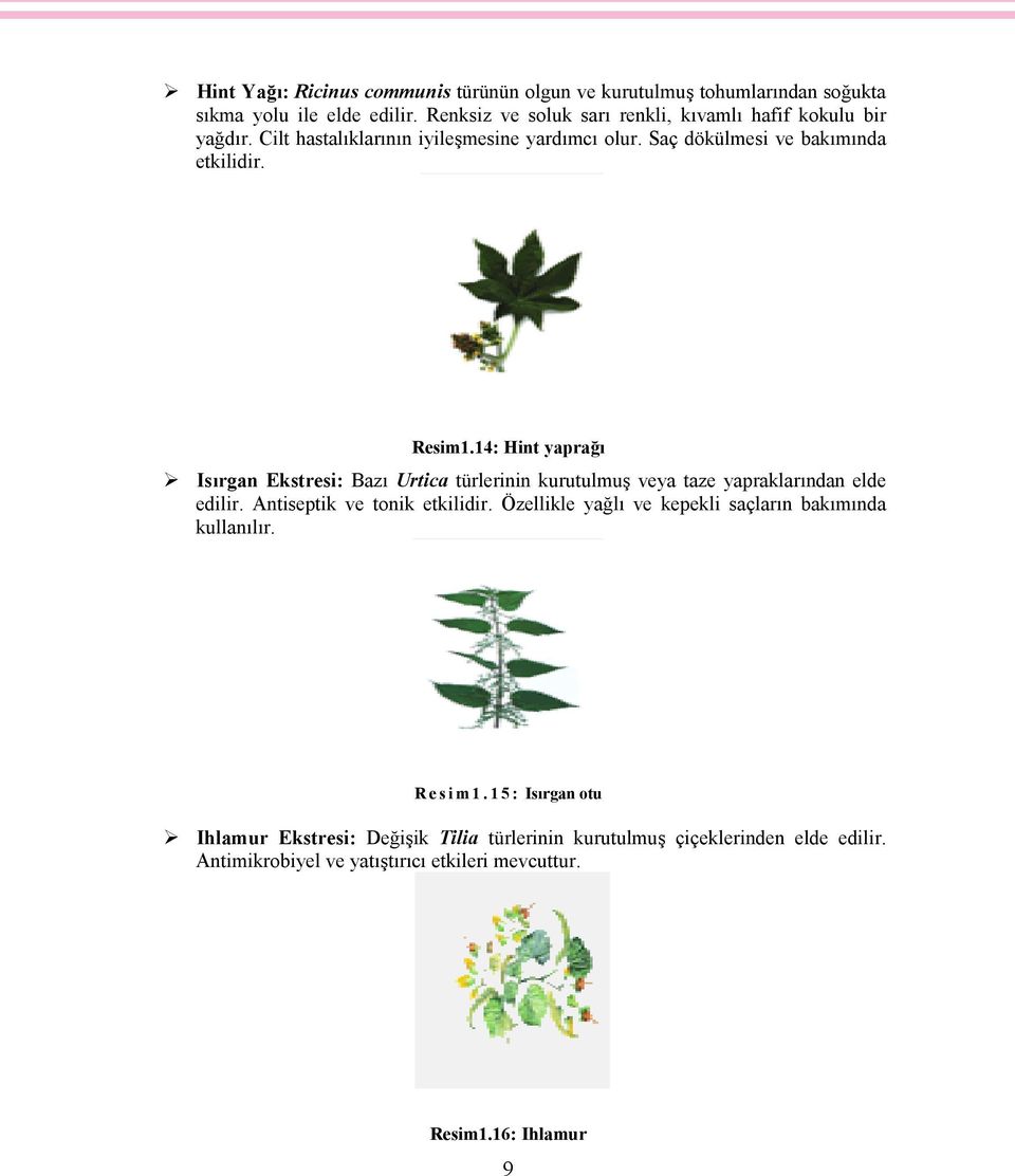 14: Hint yaprağı Isırgan Ekstresi: Bazı Urtica türlerinin kurutulmuş veya taze yapraklarından elde edilir. Antiseptik ve tonik etkilidir.