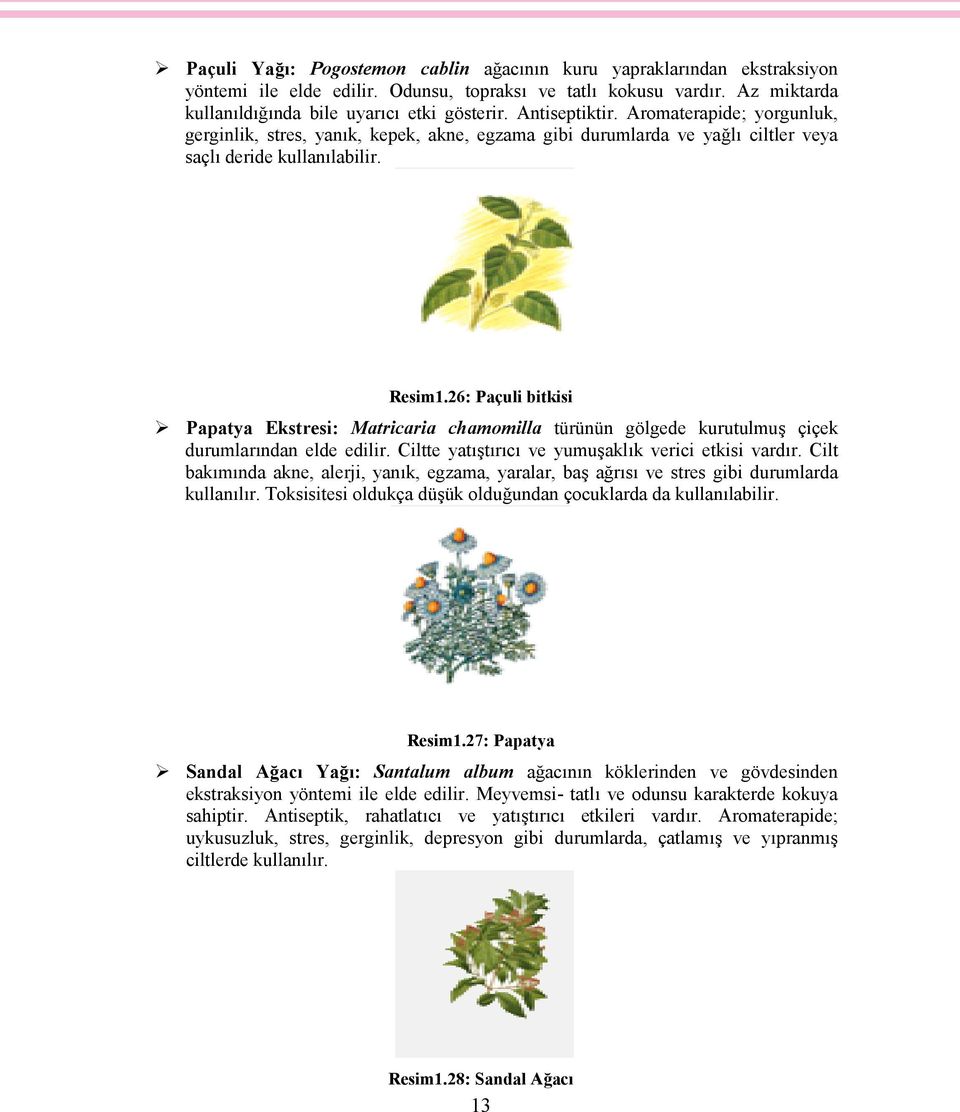 26: Paçuli bitkisi Papatya Ekstresi: Matricaria chamomilla türünün gölgede kurutulmuş çiçek durumlarından elde edilir. Ciltte yatıştırıcı ve yumuşaklık verici etkisi vardır.