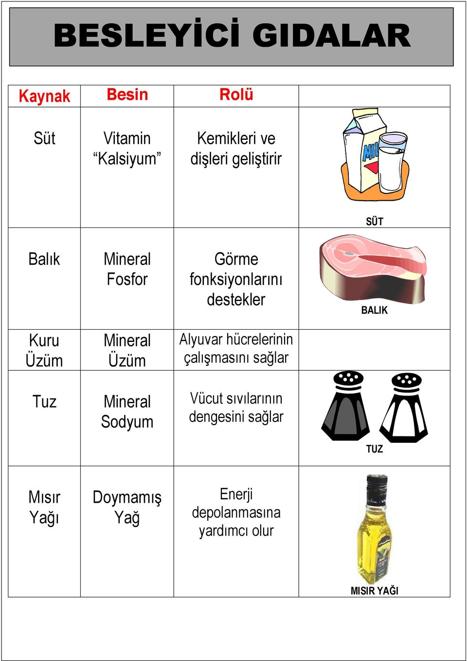 Mineral Üzüm Alyuvar hücrelerinin çalışmasını sağlar Tuz Mineral Sodyum Vücut