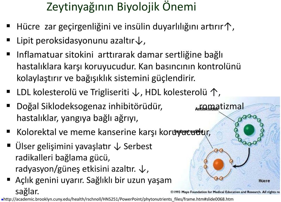 LDL kolesterolü ve Trigliseriti,HDL kolesterolü, Doğal Siklodeksogenaz inhibitörüdür, romatizmal hastalıklar, yangıya bağlı ağrıyı, Kolorektal ve meme kanserine karşı koruyucudur,