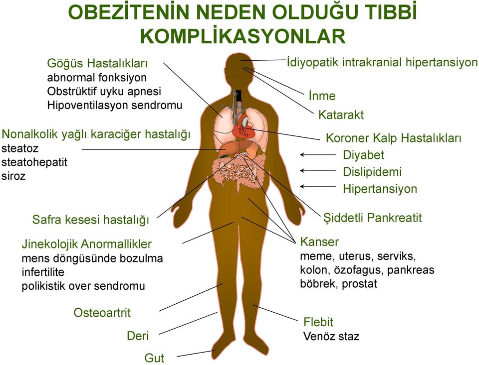 Hastalıkları Diyabet Dislipidemi Hipertansiyon Safra kesesi hastalığı Jinekolojik Anormallikler mens döngüsünde bozulma infertilite