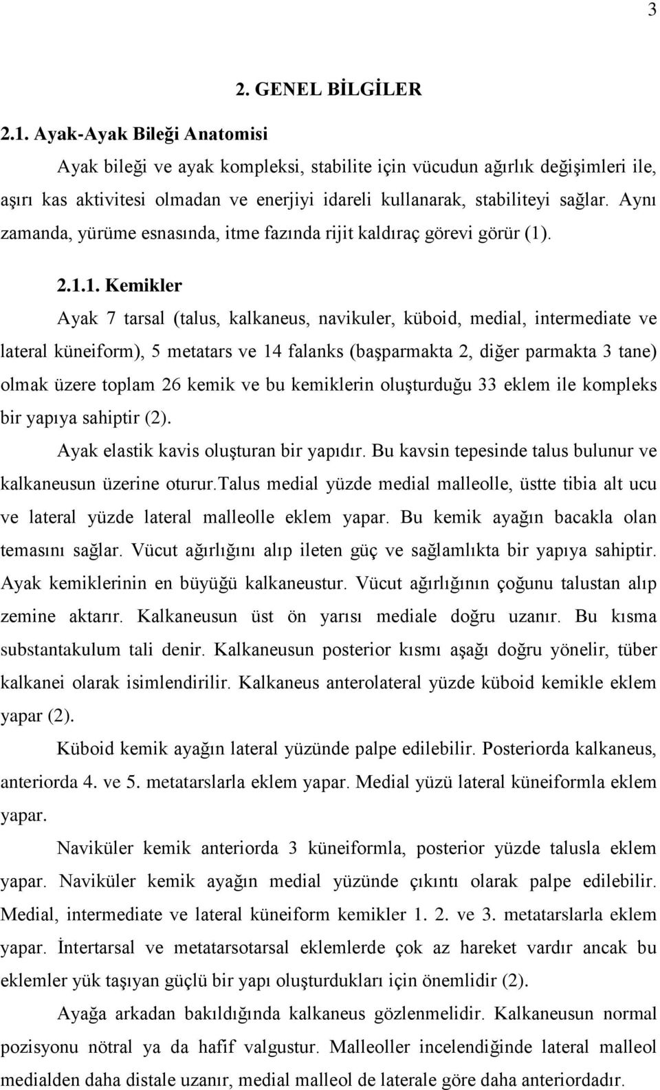 Aynı zamanda, yürüme esnasında, itme fazında rijit kaldıraç görevi görür (1)