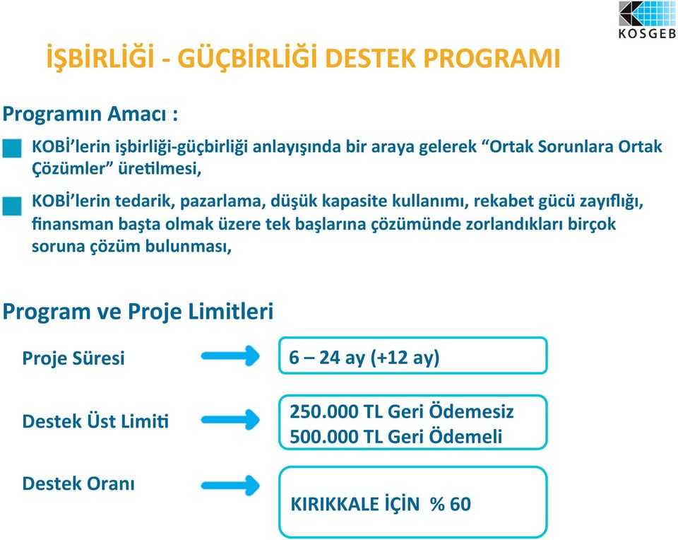 finansman başta olmak üzere tek başlarına çözümünde zorlandıkları birçok soruna çözüm bulunması, Program ve Proje Limitleri