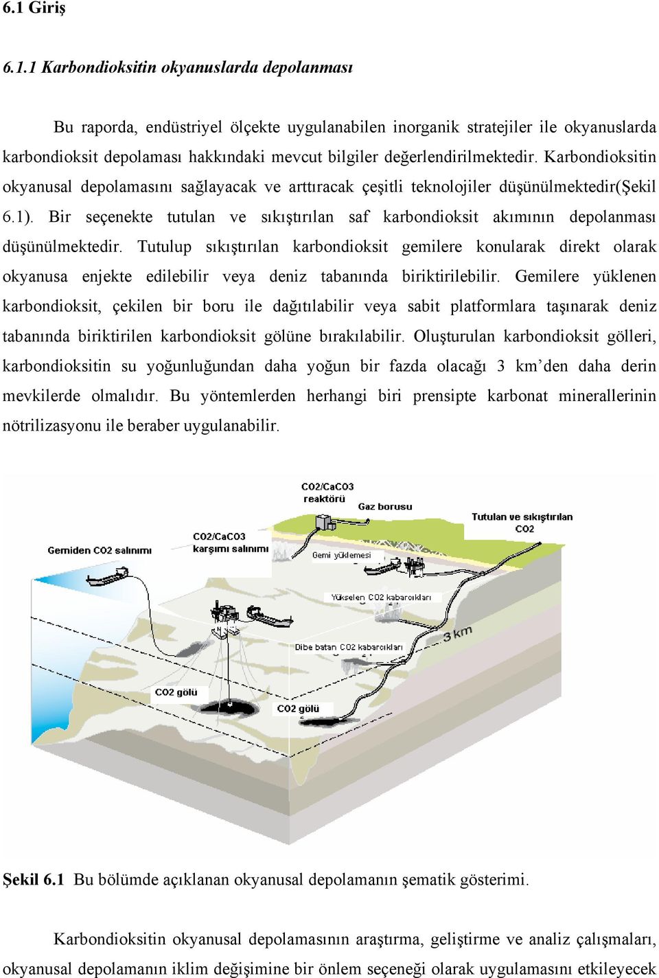 Bir seçenekte tutulan ve sıkıştırılan saf karbondioksit akımının depolanması düşünülmektedir.