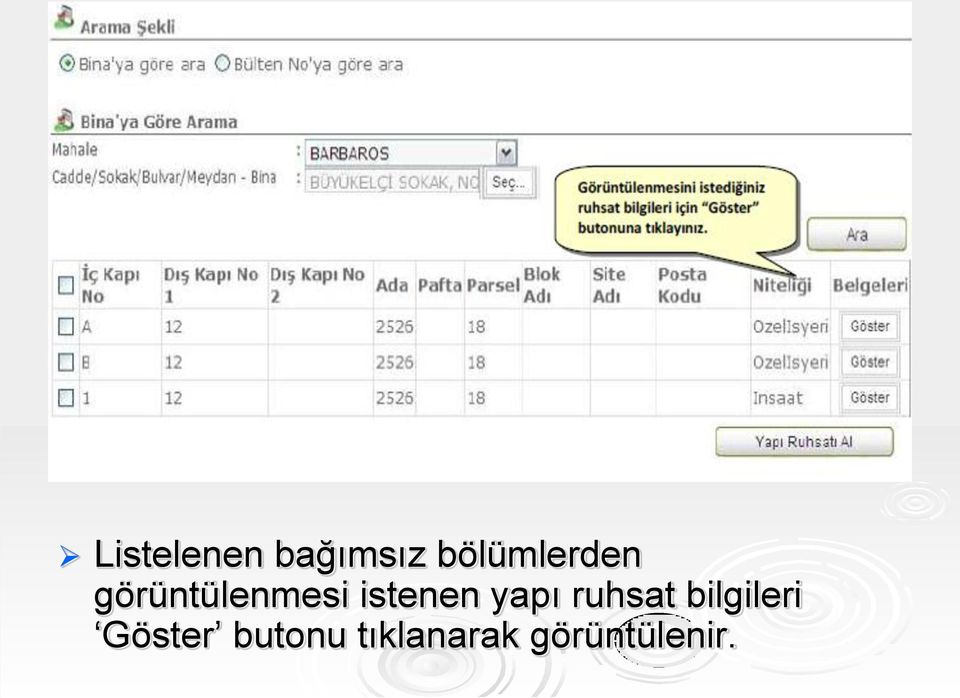 istenen yapı ruhsat