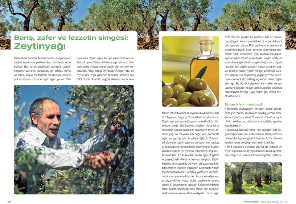 Özünde zeytin ağacı yer alır, Olea cının meyvesi şaşırtıcı bir şekilde yüzde 50 oranında yağ içerir. Ayrıca çekirdekleri bir ahşap bileşeni olan ligninden oluşur.