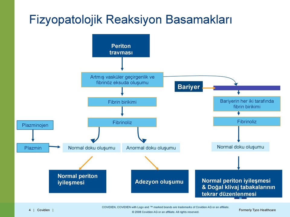 Fibrinoliz Fibrinoliz Plazmin Normal doku oluşumu Anormal doku oluşumu Normal doku oluşumu Normal