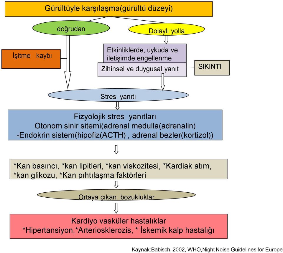 bezler(kortizol)) *Kan basıncı, *kan lipitleri, *kan viskozitesi, *Kardiak atım, *kan glikozu, *Kan pıhtılaşma faktörleri Ortaya çıkan