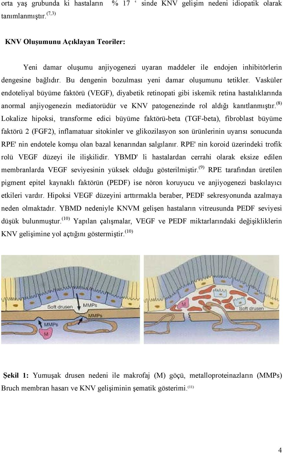 Vasküler endoteliyal büyüme faktörü (VEGF), diyabetik retinopati gibi iskemik retina hastalıklarında anormal anjiyogenezin mediatorüdür ve KNV patogenezinde rol aldığı kanıtlanmıştır.