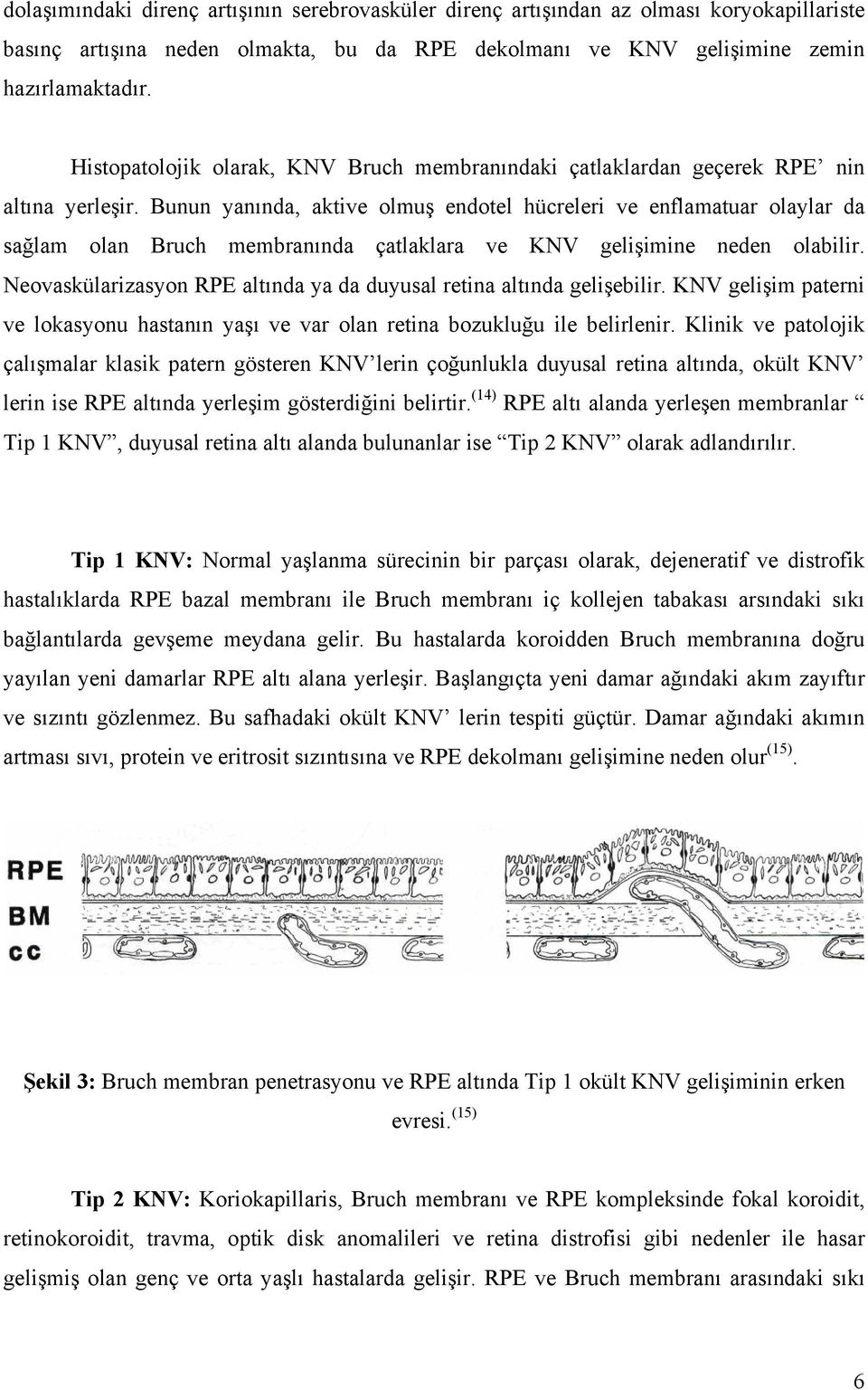Bunun yanında, aktive olmuş endotel hücreleri ve enflamatuar olaylar da sağlam olan Bruch membranında çatlaklara ve KNV gelişimine neden olabilir.