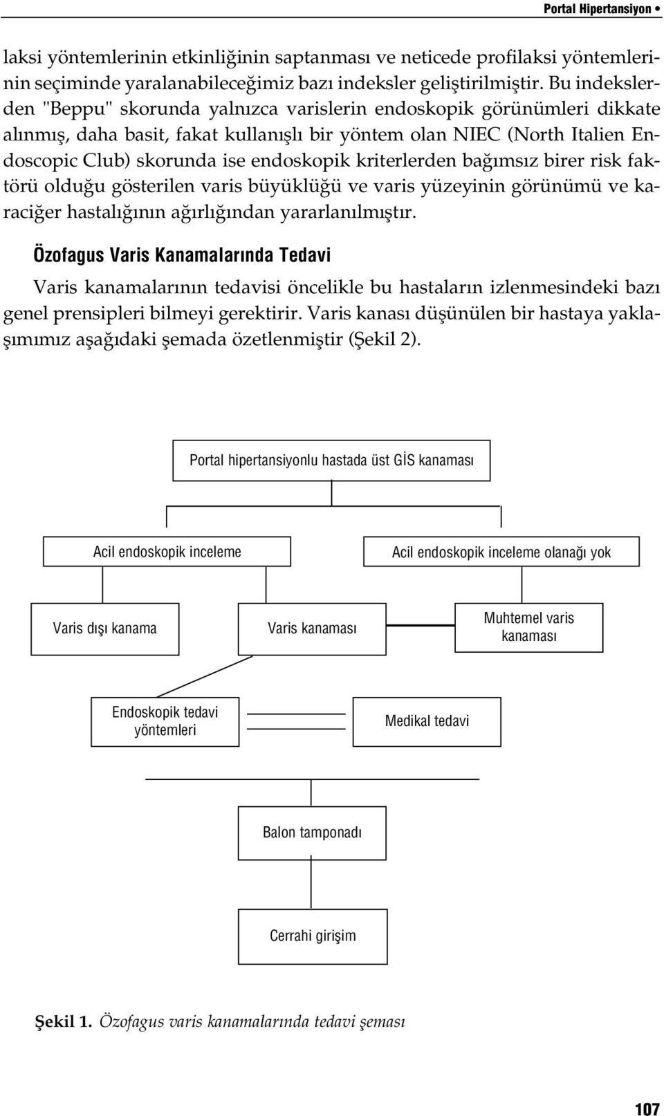 kriterlerden ba ms z birer risk faktörü oldu u gösterilen varis büyüklü ü ve varis yüzeyinin görünümü ve karaci er hastal n n a rl ndan yararlan lm flt r.