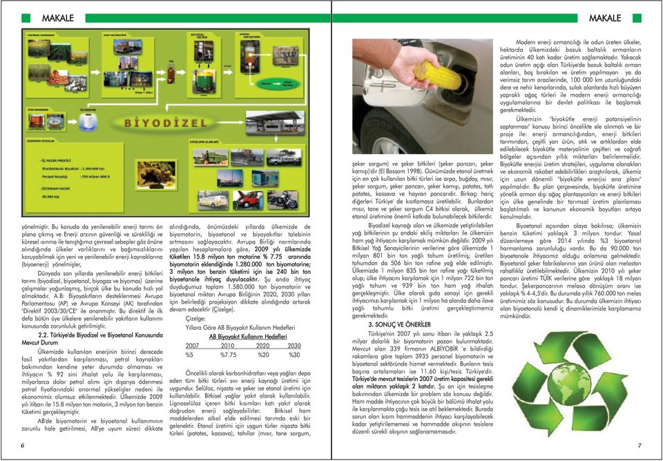 baðýmsýzlýklarýný koruyabilmek için yeni ve yenilenebilir enerji kaynaklarýna (biyoenerji) yönelmiþler, Dünyada son yýllarda yenilenebilir enerji bitkileri tarýmý (biyodizel, biyoetanol, biyogaz ve