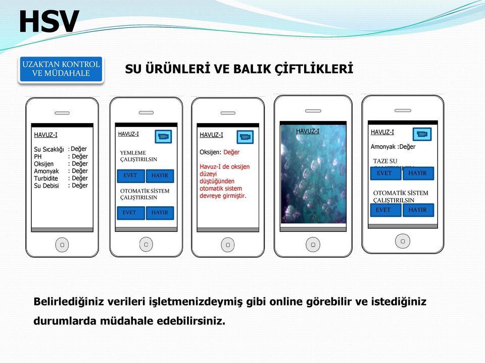 HAYIR Oksijen: Değer Havuz-I de oksijen düzeyi düştüğünden otomatik sistem devreye girmiştir.