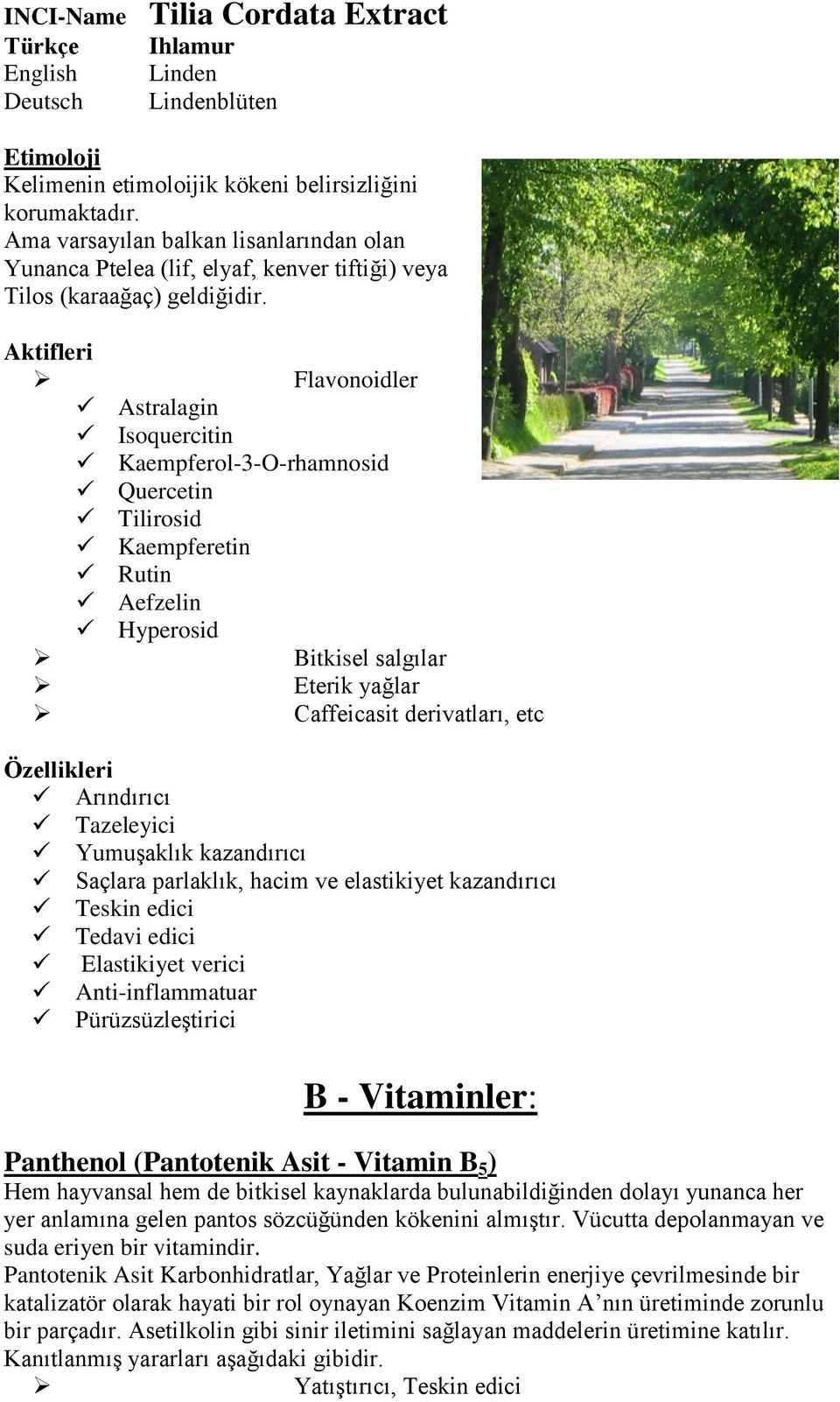 Flavonoidler Astralagin Isoquercitin Kaempferol-3-O-rhamnosid Quercetin Tilirosid Kaempferetin Rutin Aefzelin Hyperosid Bitkisel salgılar Eterik yağlar Caffeicasit derivatları, etc Arındırıcı