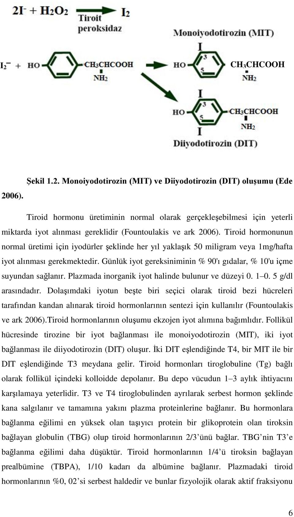 Günlük iyot gereksiniminin % 90'ı gıdalar, % 10'u içme suyundan sağlanır. Plazmada inorganik iyot halinde bulunur ve düzeyi 0. 1 0. 5 g/dl arasındadır.