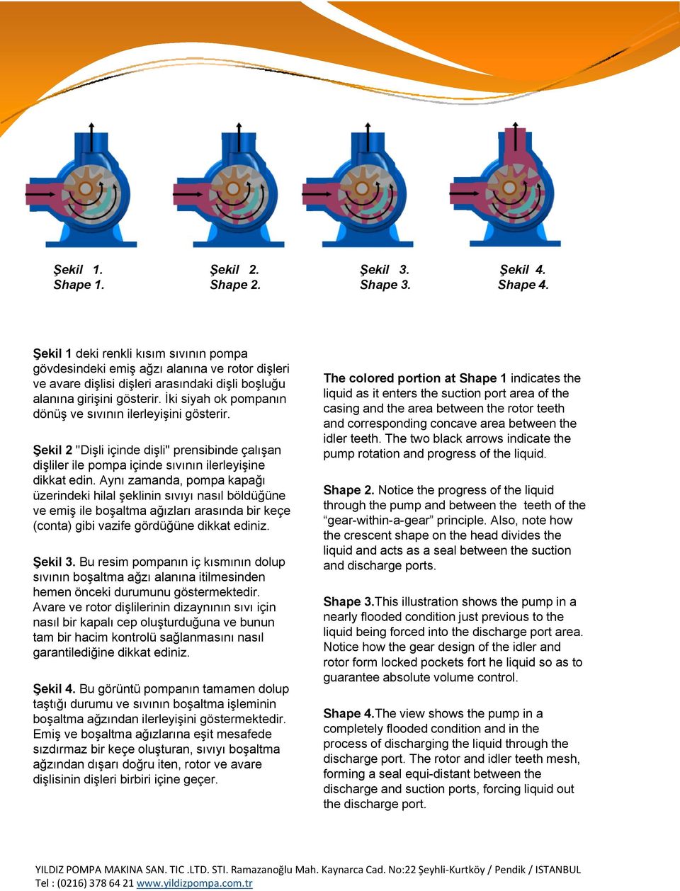 İki siyah ok pompanın dönüş ve sıvının ilerleyişini gösterir. Şekil 2 "Dişli ş içinde dş dişli" prensibinde pe sb deçalışan dişliler ile pompa içinde sıvının ilerleyişine dikkat edin.