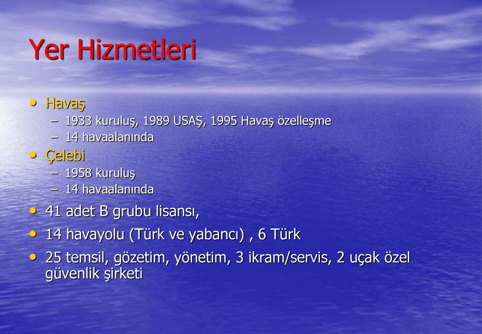 41 adet B grubu lisansı, 14 havayolu (Türk ve yabancı), 6 Türk