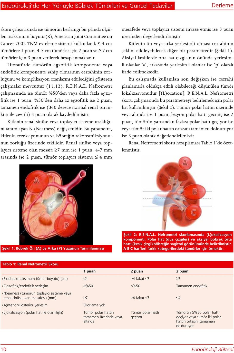 Literatürde tümörün egzofitik komponente veya endofitik komponente sahip olmasının cerrahinin zorluğunu ve komplikasyon oranlarını etkilediğini gösteren çalışmalar mevcuttur (11,12). R.E.N.A.L.