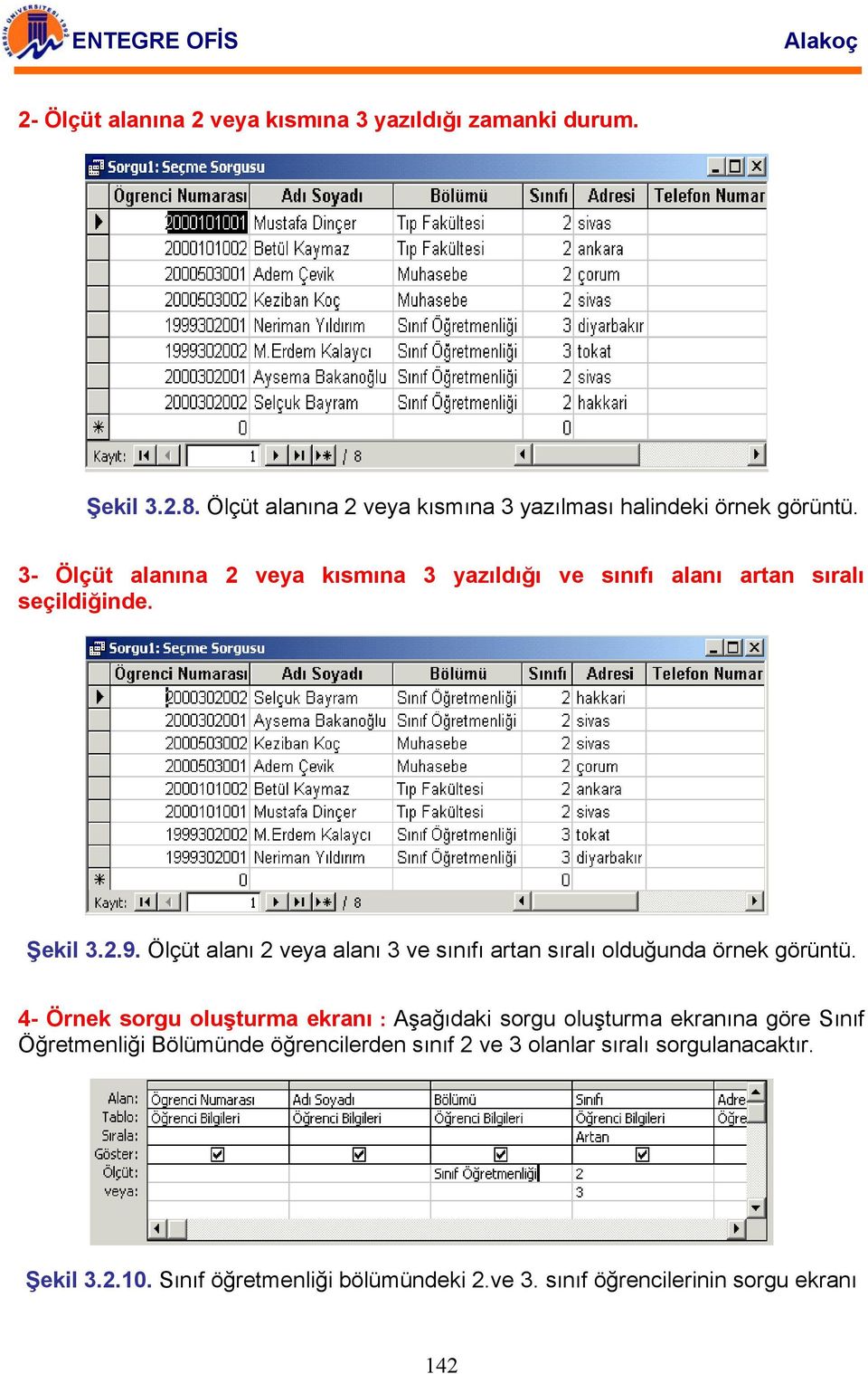 Ölçüt alanı 2 veya alanı 3 ve sınıfı artan sıralı olduğunda örnek görüntü.