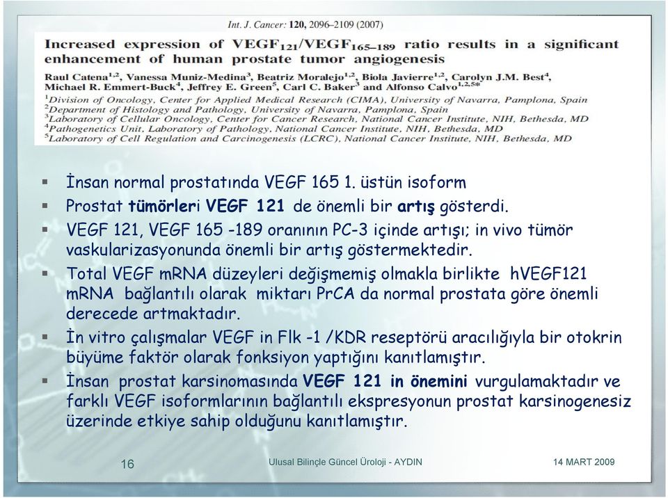 Total VEGF mrna düzeyleri değişmemiş olmakla birlikte hvegf121 mrna bağlantılı olarak miktarı PrCA da normal prostata göre önemli derecede artmaktadır.