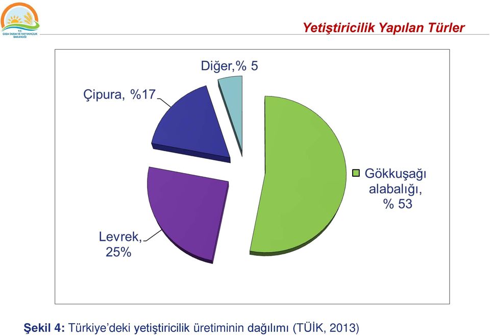 üretiminin dağılımı