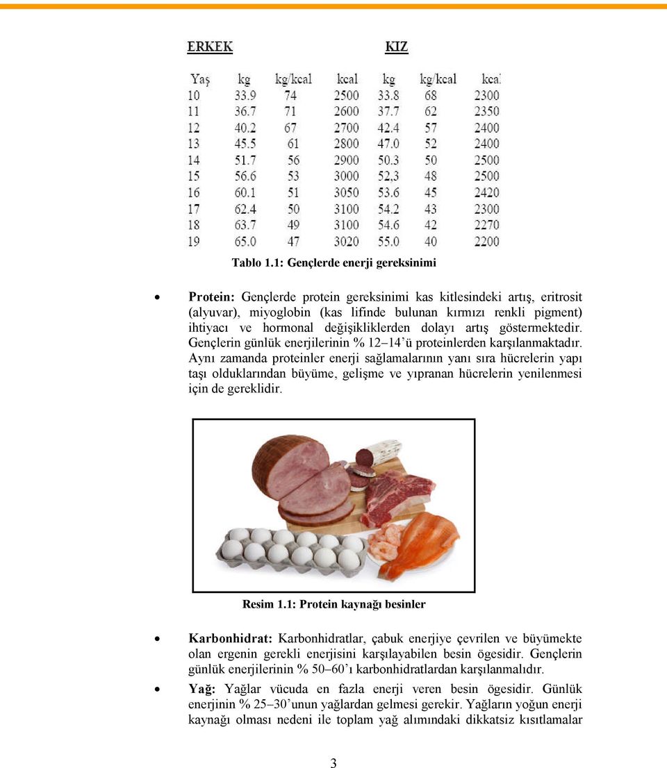 değişikliklerden dolayı artış göstermektedir. Gençlerin günlük enerjilerinin % 12 14 ü proteinlerden karşılanmaktadır.