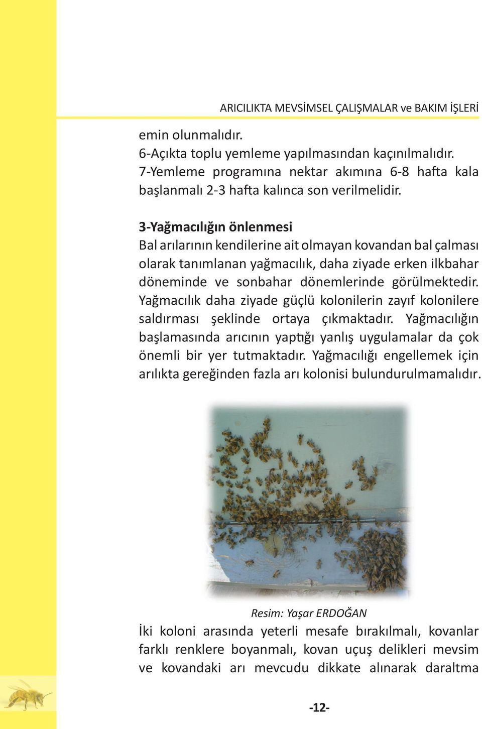 Yağmacılık daha ziyade güçlü kolonilerin zayıf kolonilere saldırması şeklinde ortaya çıkmaktadır. Yağmacılığın başlamasında arıcının yaptığı yanlış uygulamalar da çok önemli bir yer tutmaktadır.