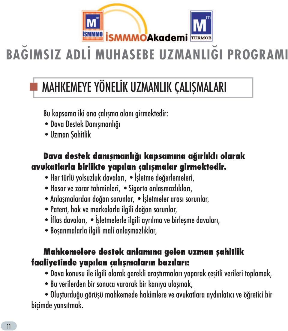 Her türlü yolsuzluk davaları, İşletme değerlemeleri, Hasar ve zarar tahminleri, Sigorta anlaşmazlıkları, Anlaşmalardan doğan sorunlar, İşletmeler arası sorunlar, Patent, hak ve markalarla ilgili