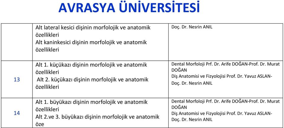 küçükazı dişinin morfolojik ve anatomik Alt 1. büyükazı dişinin morfolojik ve anatomik Alt 2.ve 3.