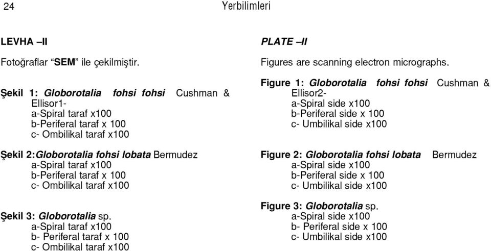 Figure 1: Globorotalia fohsi fohsi Cushman & Ellisor2- a-spiral side x100 b-periferal side x 100 c- Umbilikal side x100 fiekil 2:Globorotalia fohsi lobata Bermudez a- b-periferal
