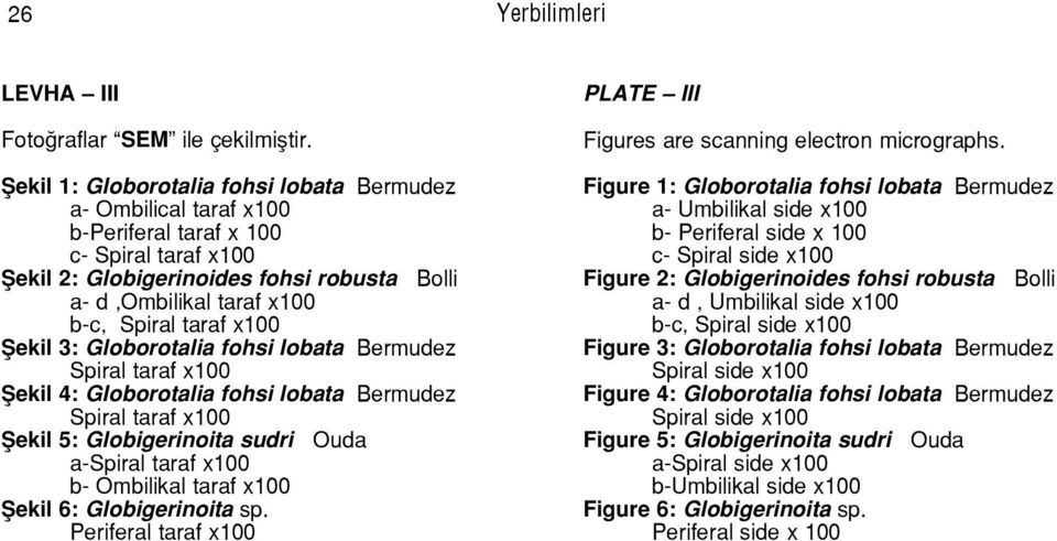 fohsi lobata Bermudez fiekil 4: Globorotalia fohsi lobata Bermudez fiekil 5: Globigerinoita sudri Ouda a- b- Ombilikal taraf x100 fiekil 6: Globigerinoita sp.