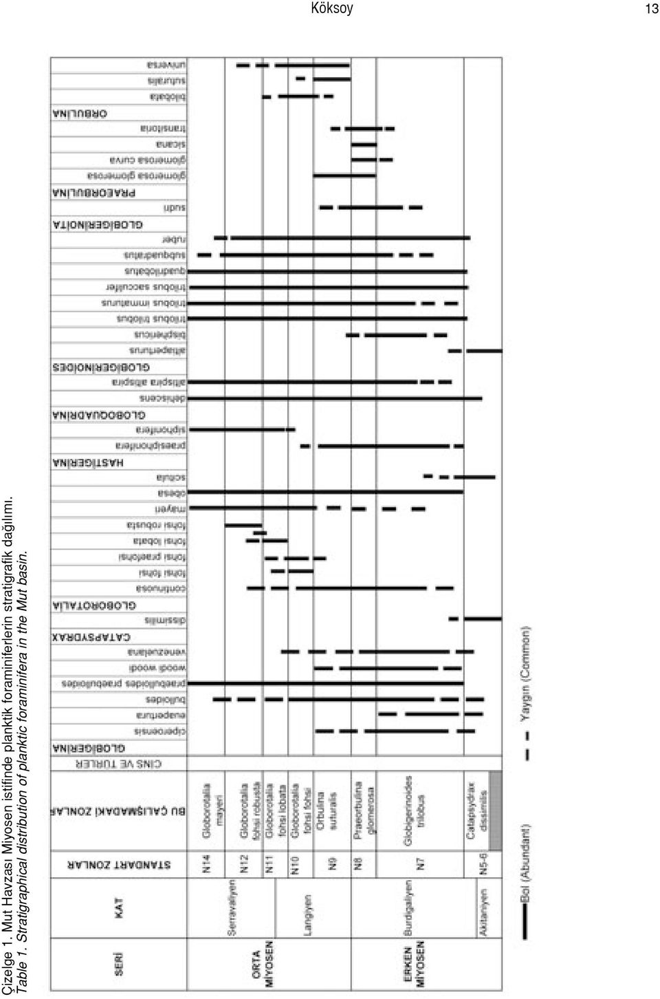 foraminiferlerin stratigrafik da l m.