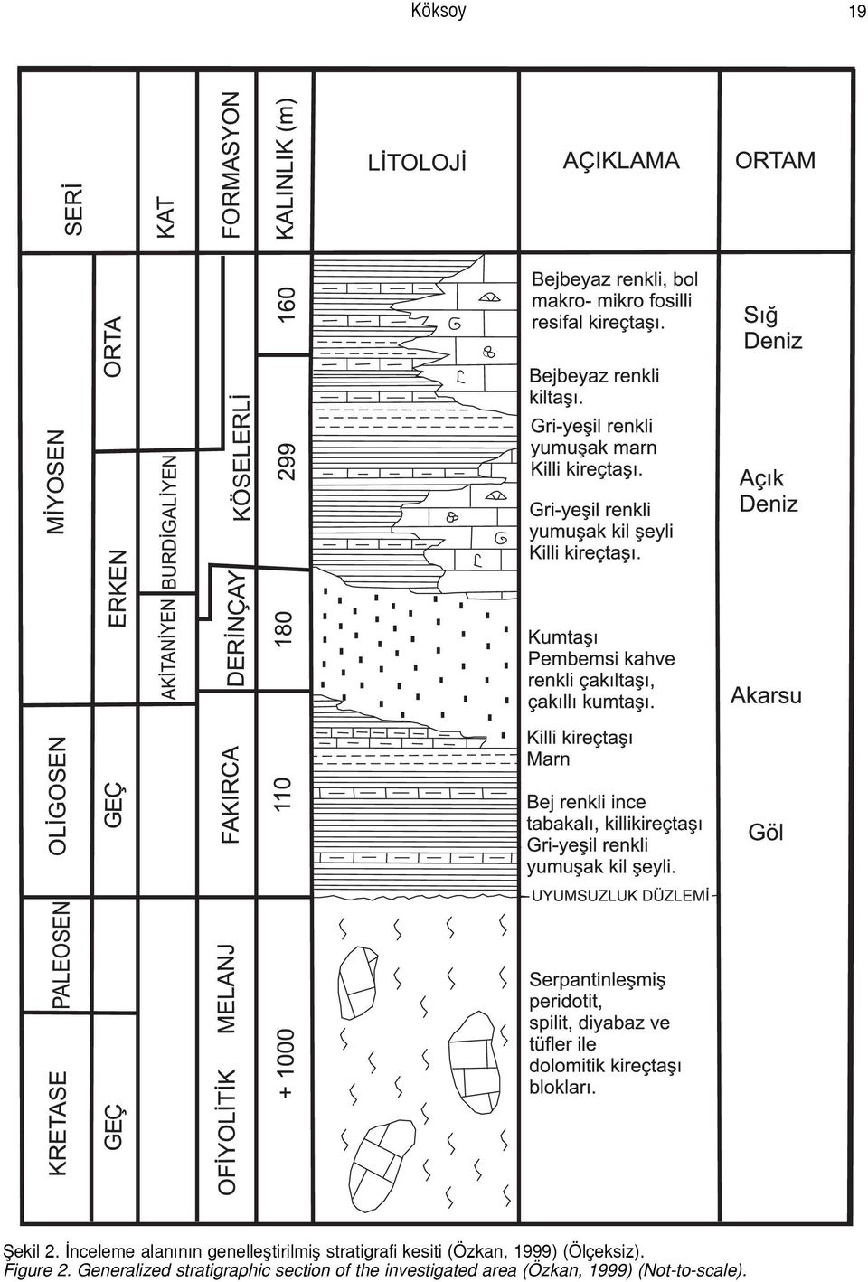 kesiti (Özkan, 1999) (Ölçeksiz). Figure 2.